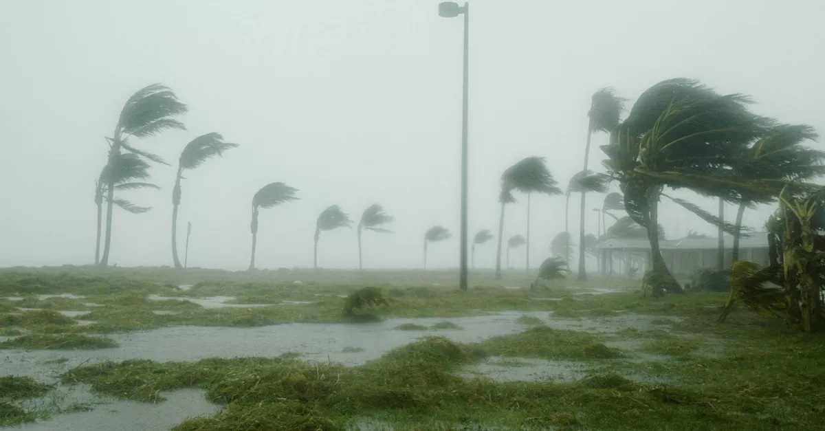 Hurricane winds