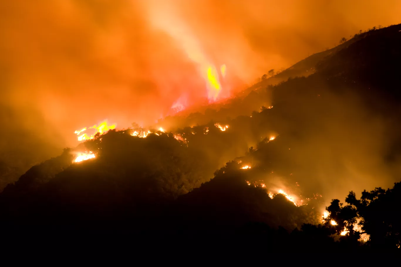 wildfire