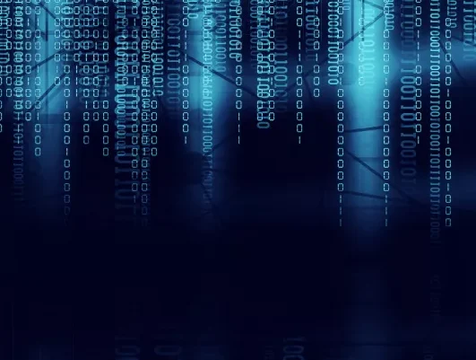 Cyber insurance image