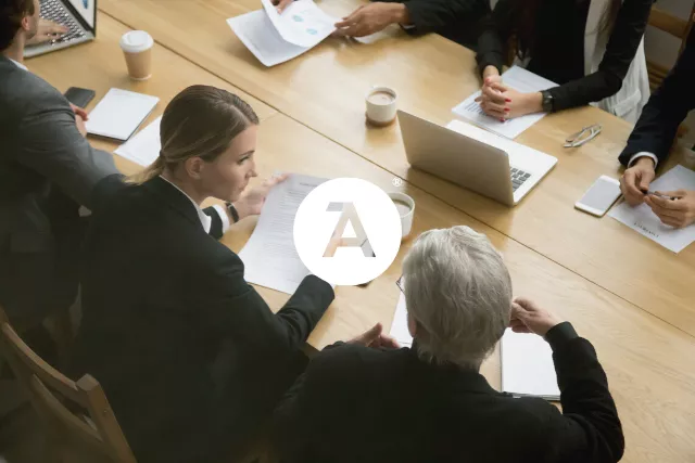Professionals at a conference table