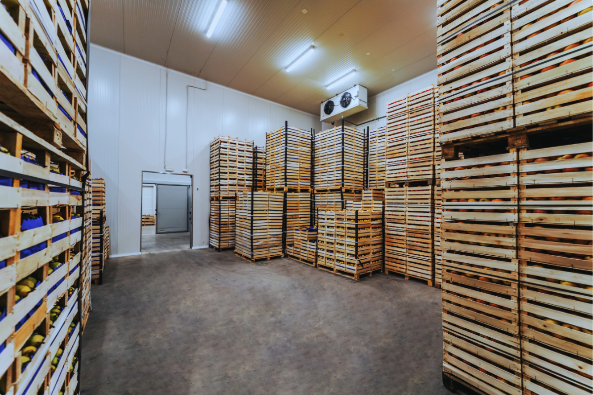 Cold storage facility
