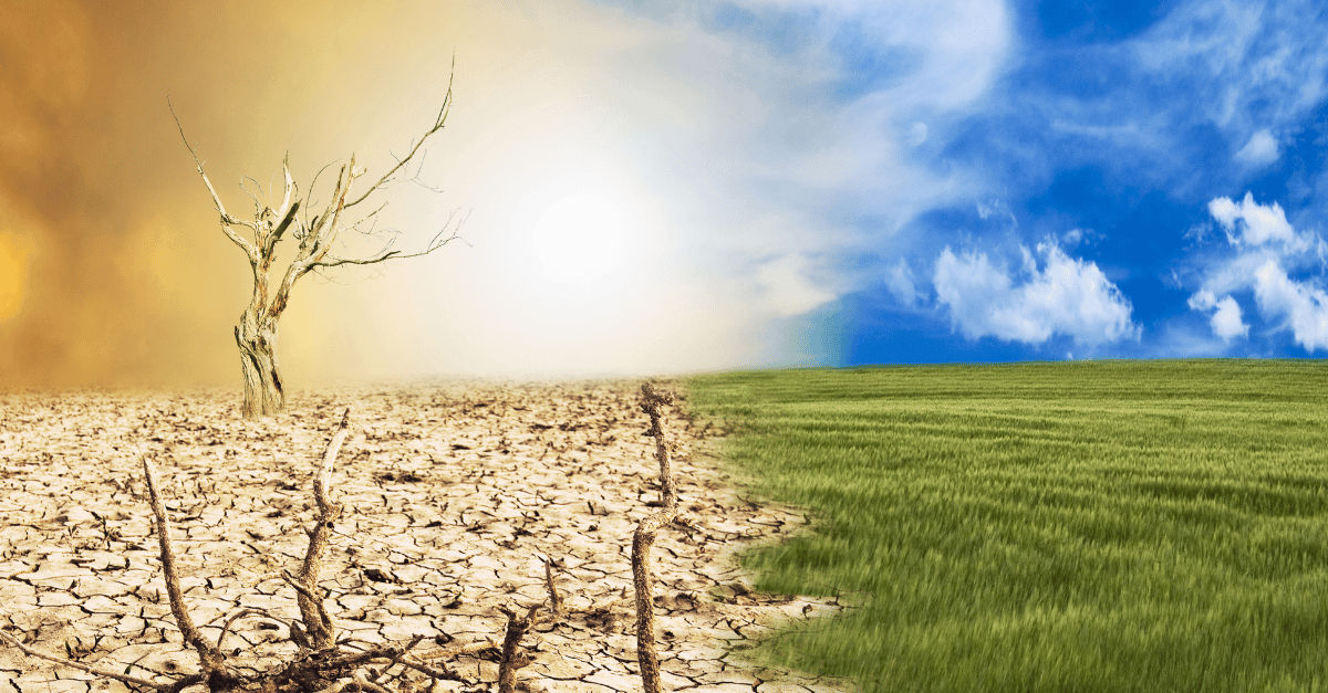 What a Super El Niño Means for Business Continuity